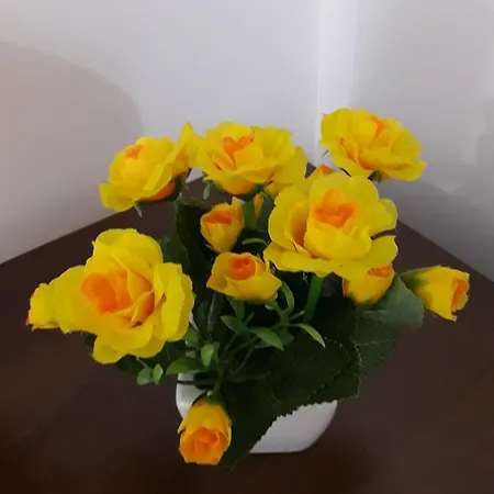 Stella בית הארחה אסקולי פיצ'נו